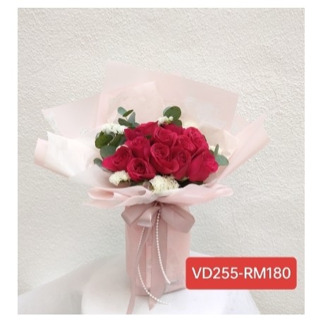 VD255-RM180