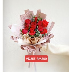 VD253-RM200