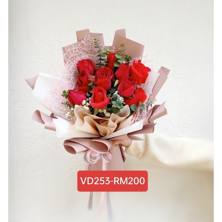VD253-RM200