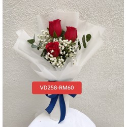 VD258-RM60