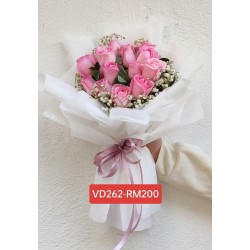 VD262-RM200
