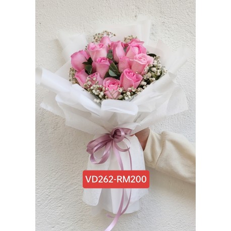 VD262-RM200