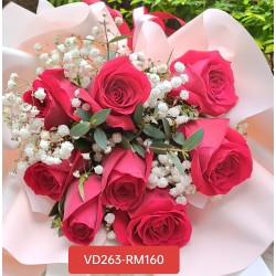 VD263-RM160
