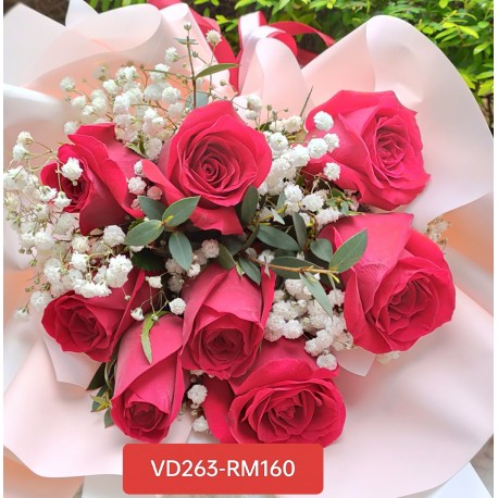 VD263-RM160