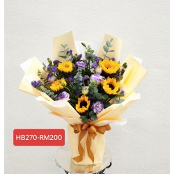 HB270-RM200