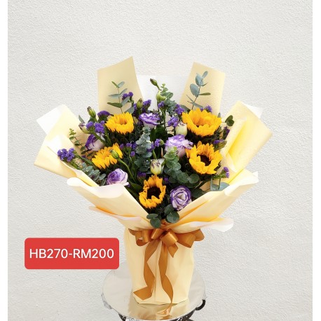 HB270-RM200